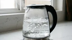 沸騰したお湯：危険か否か？何百万人もの人々が信じている神話を検証する